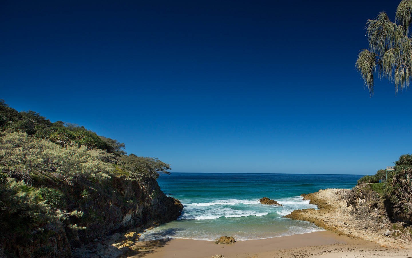 3377体育|第五人格宿伞之魂 第五人格宿伞之魂技能介绍(图4)