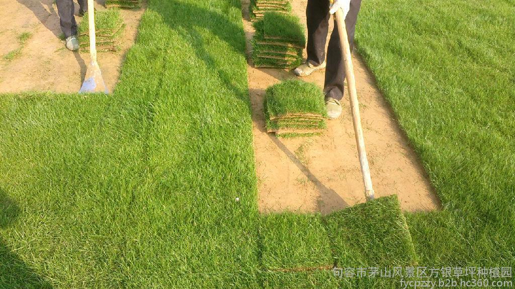 【3377体育】锡业股份：克服重重困难 全力确保供货(图2)