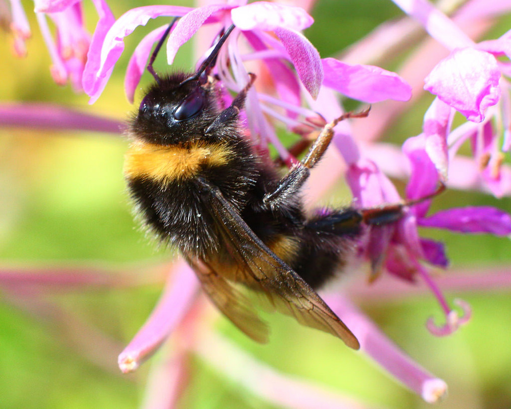 【3377官网】
谈体毛级越位！董路：足球正在变得像娘们儿一样琐屑较量 特没劲(图3)