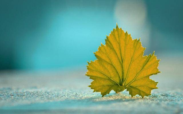 
10月1日-3377官网(图2)