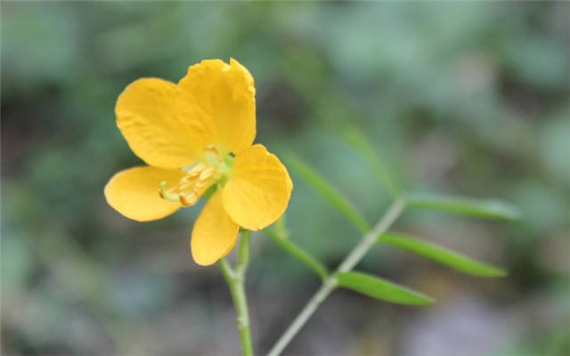 
10月1日-3377官网(图7)