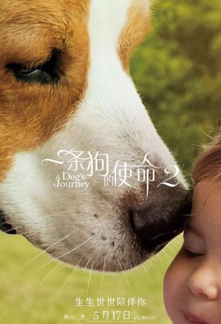 3377体育_堡垒之夜手游尬舞手雷怎么样 堡垒之夜手游尬舞手雷性能分析