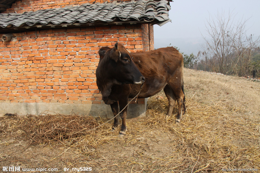 ‘3377app’中甲第3轮赛程摆设计划！冲超势在必得，亚泰、绿城誓取三分(图3)