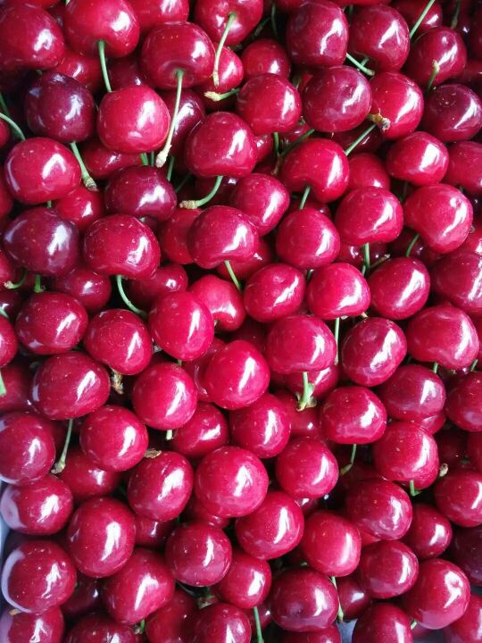 3377官网-中国矿企海外并购机遇期已至(图2)