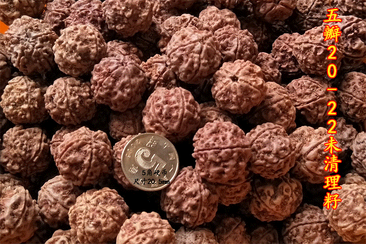 3377体育:神都夜行录万物生发怎么样 万物生发效果图鉴(图3) 3377官网