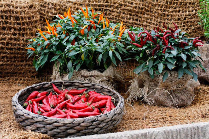 山东地矿收购资产业绩再度未达承诺“3377体育”(图3) 3377官网