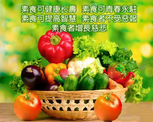 ‘3377体育’南阳市2014年度第一批采矿权挂牌出让成功(图2) 3377体育