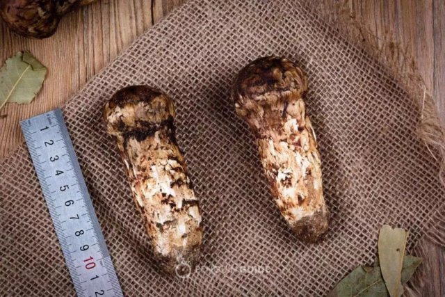 地方两会聚焦国企混合所有制改革_3377体育(图1) 3377官网