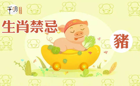 95年属猪几月命欠好 1995属猪人遇牛年怎么样:3377官网(图2)
95年属猪几月命欠好 1995属猪人遇牛年怎么样:3377官网(图2)