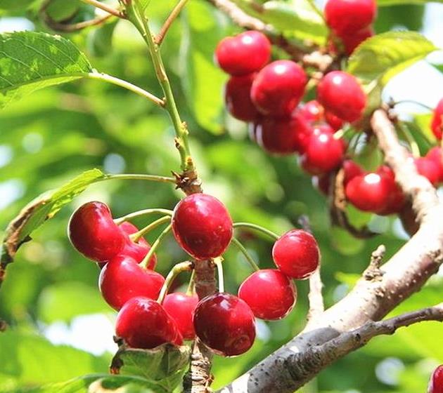 3377官网_
中国足球：疫情之下挑战机缘并存(图1)