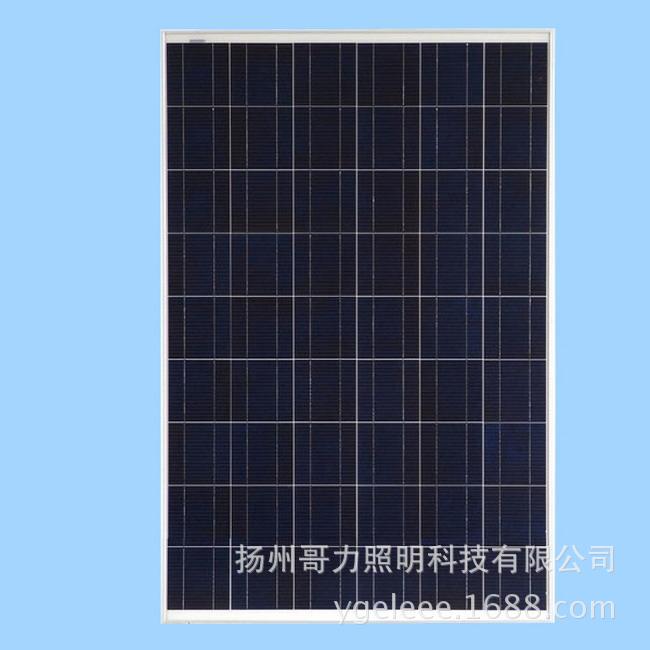 3377app:明日之后狗可以换吗 明日之后怎么换狗(图4) 3377体育